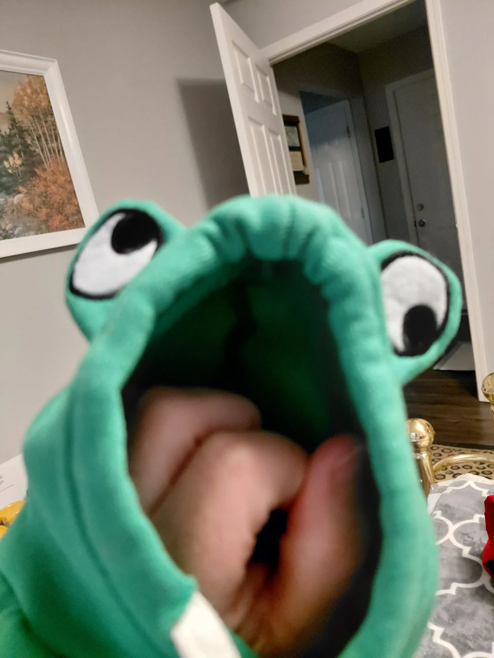 Green Frog Hoodie with Drawstring